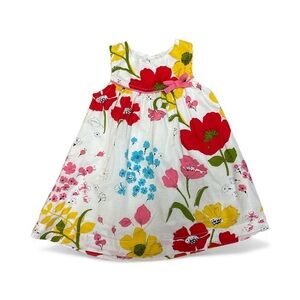 Pink Chicken - Marilyn Sleeveless Baby Girl Dress, Multi Color Floral (18/24M)